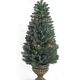 Illustration for article titled 8 High-Tech Christmas Trees